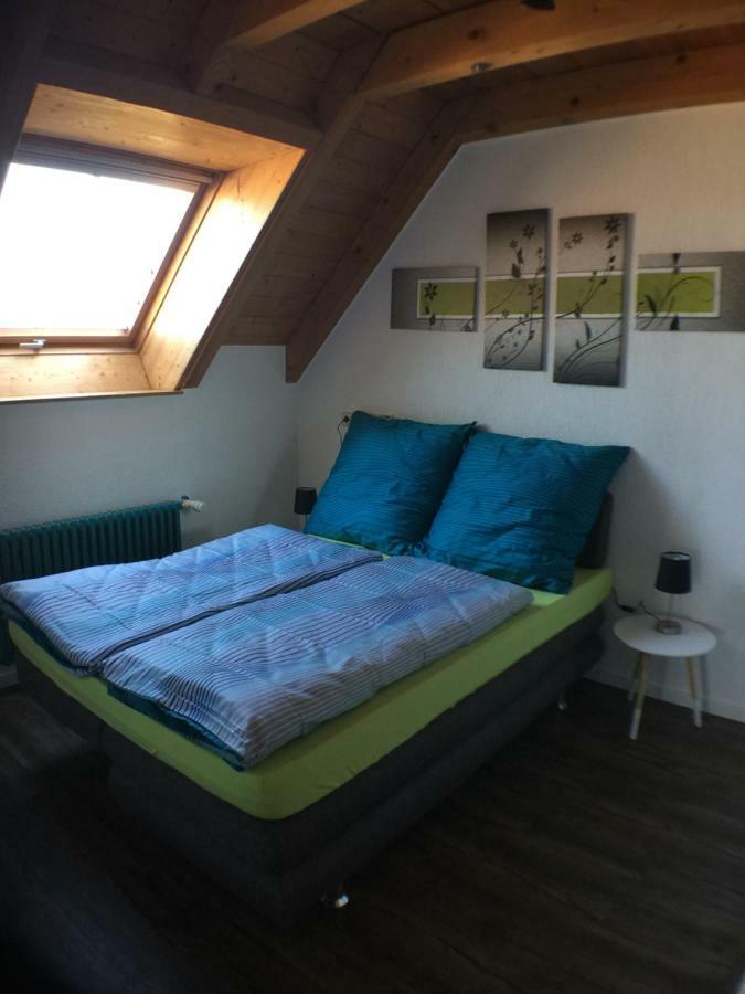 Ferienwohnung Alte B3 Ringsheim Dış mekan fotoğraf